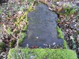 image of grave number 544341
